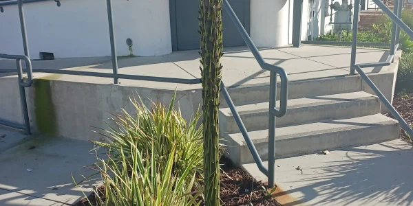 Areta Crowell Center