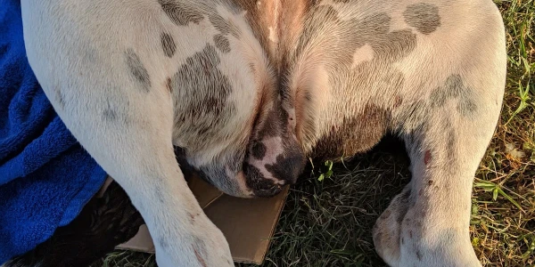 Jasons Retreat Recovery Services - Outpatient