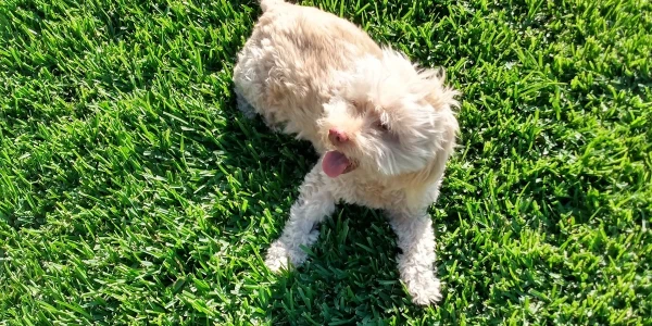 Chabad Residential Treatment Center