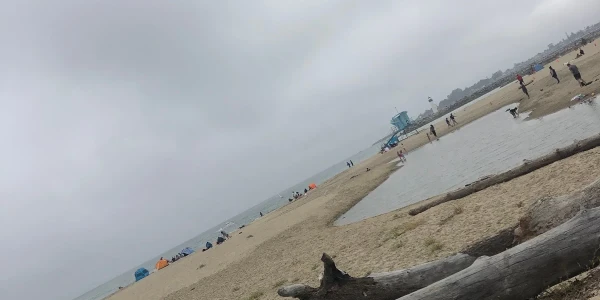 Janus of Santa Cruz - Chestnut Street