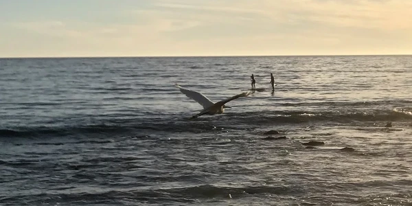 Oceanside Malibu Addiction Treatment Center