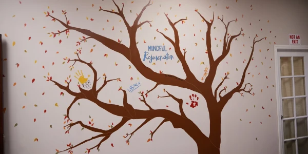 Mindful Rejuvenation