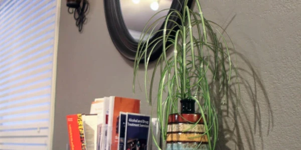 Aegis Treatment Centers